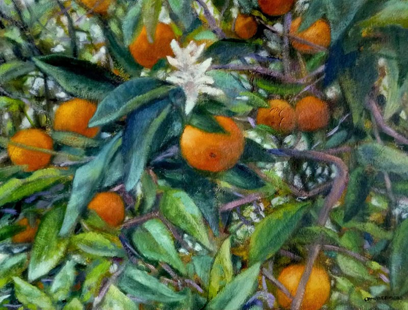 Naranjo