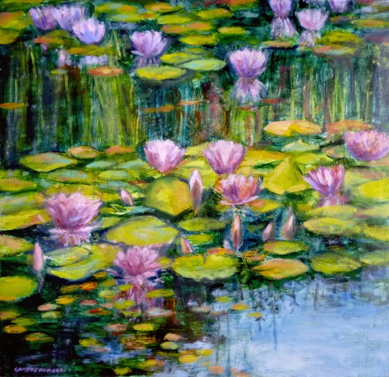 nenúfares rosas