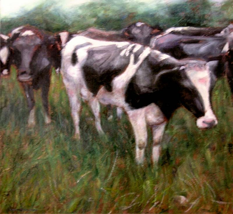 Vacas